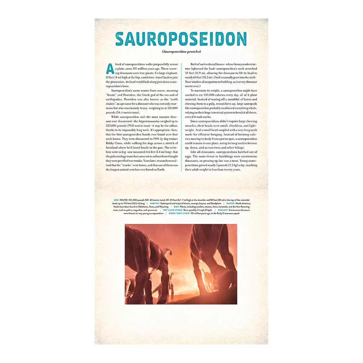 A Photicular Book 外文書 Dinosuar