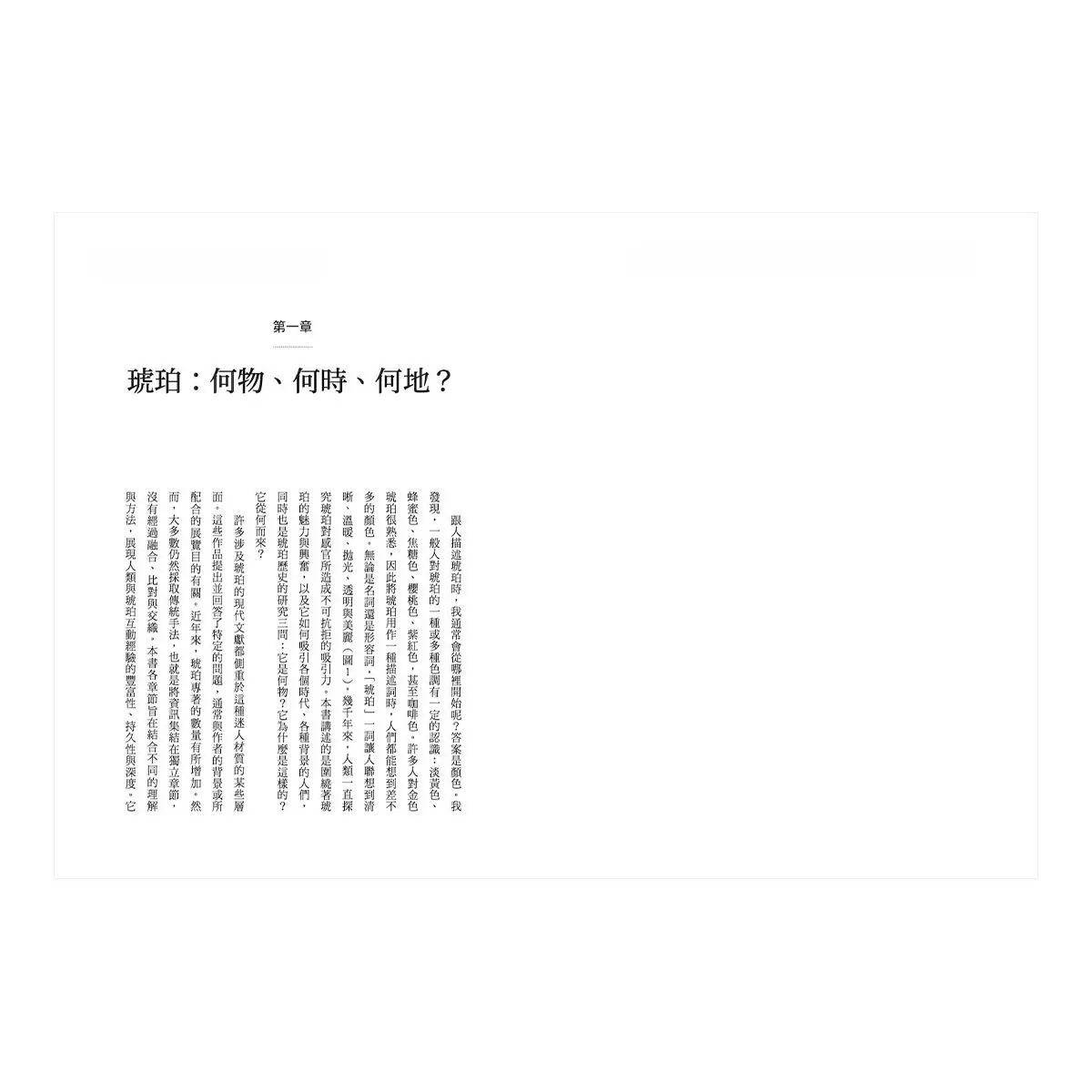 琥珀之書：傳承萬物記憶、透視歷史風貌的永恆傳奇