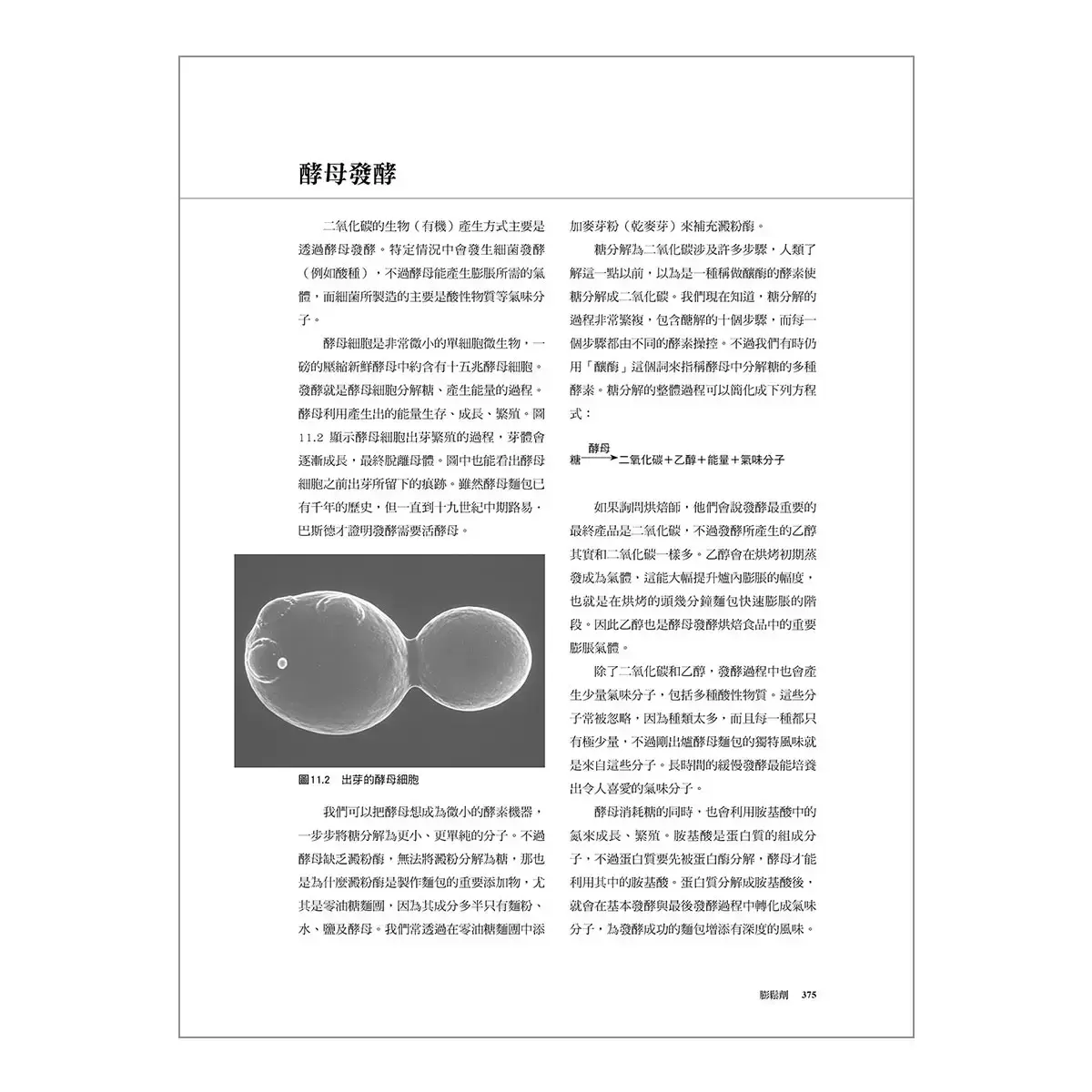 烘焙原理: 探索烘焙科學的基礎，掌握烘焙藝術的精髓，傲擁職人等級的實力 (最新第三版)
