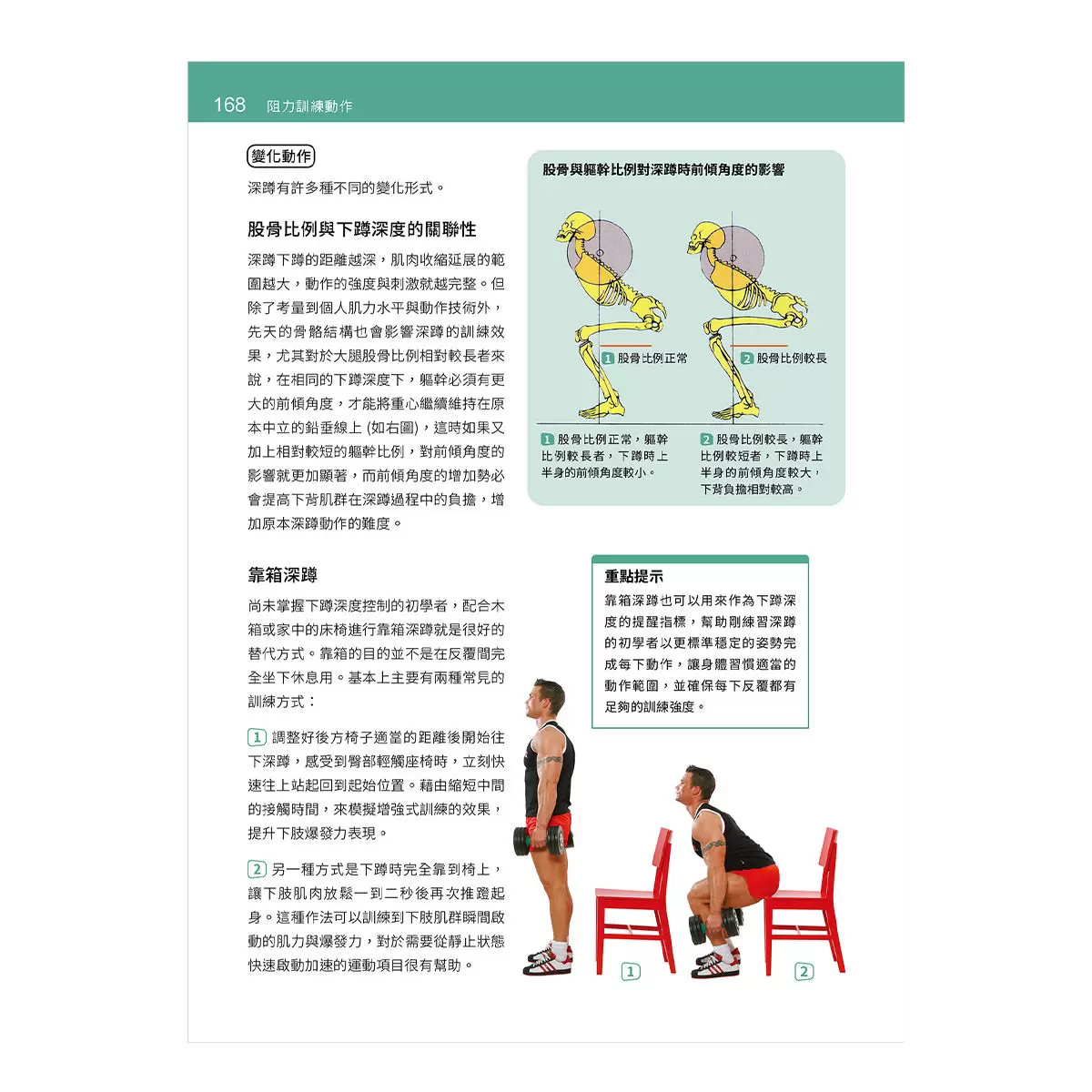 基礎肌力訓練解剖聖經基礎肌力訓練解剖聖經：居家阻力訓練超過 200 種動作與 50 套課表 (附訓練動作肌群解剖圖海報)