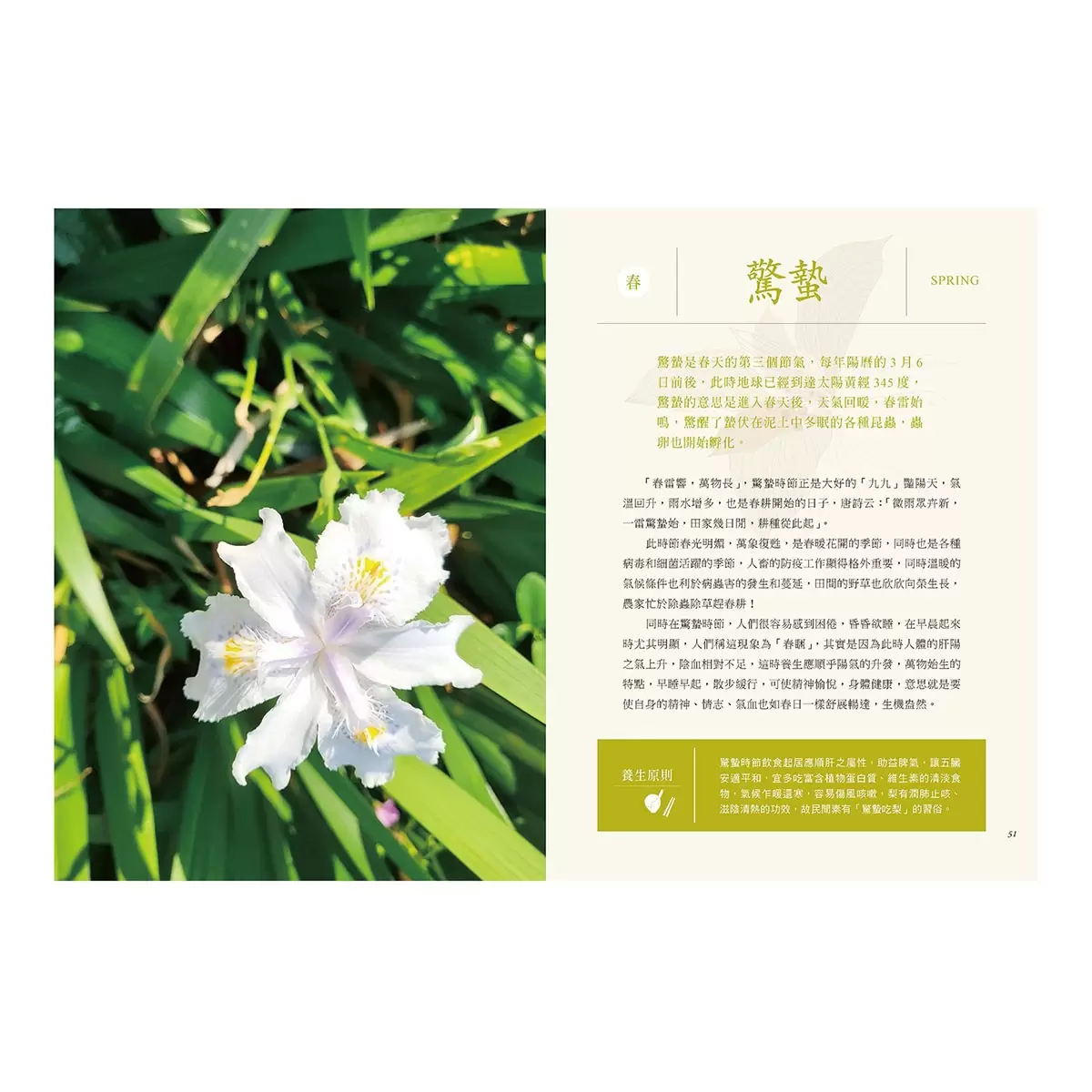 臺灣四季青草誌2：126種在地保健青草實用指南×16道季節養生料理，解鎖路邊雜草的神奇妙用