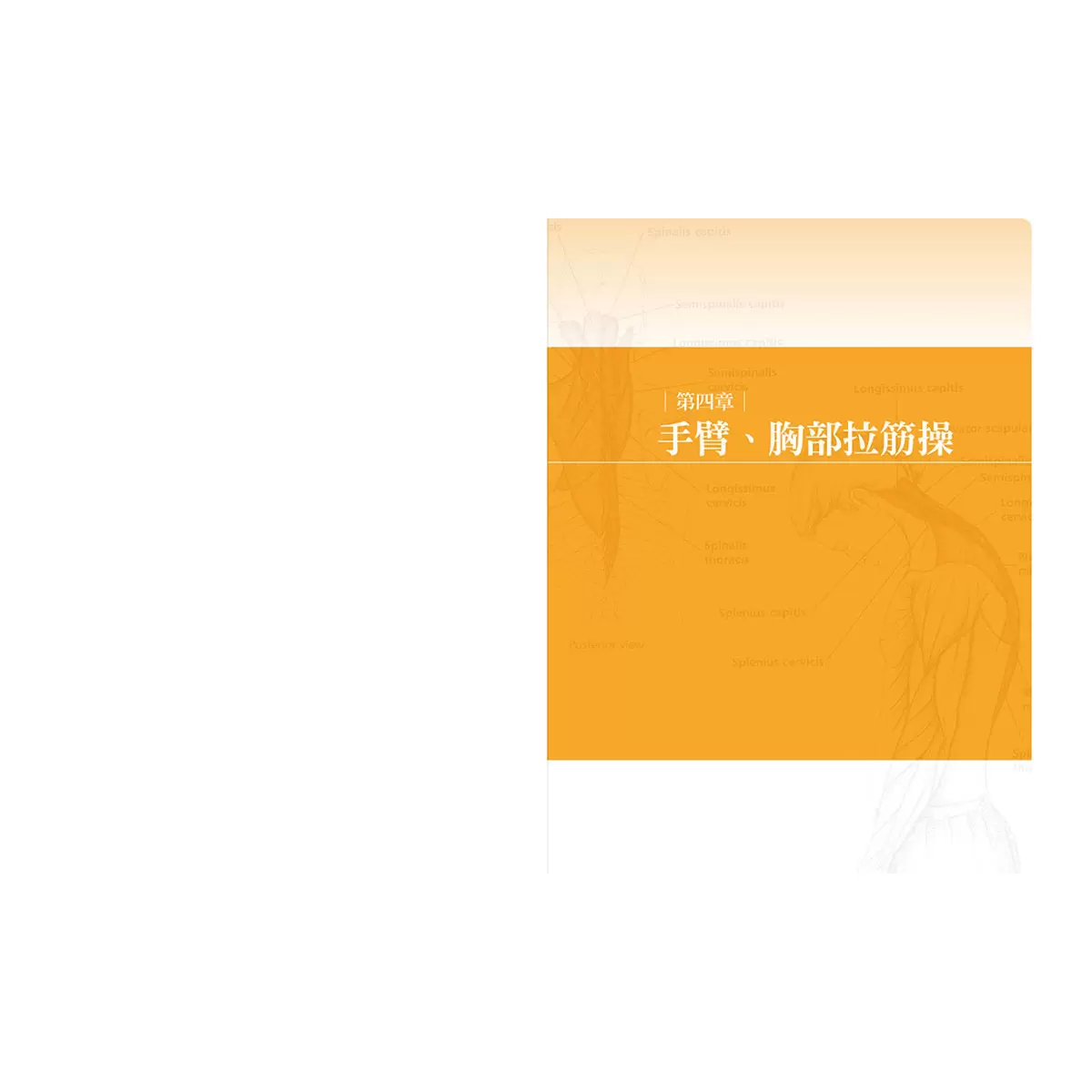 痠痛拉筋解剖書（升級增訂版套書）
