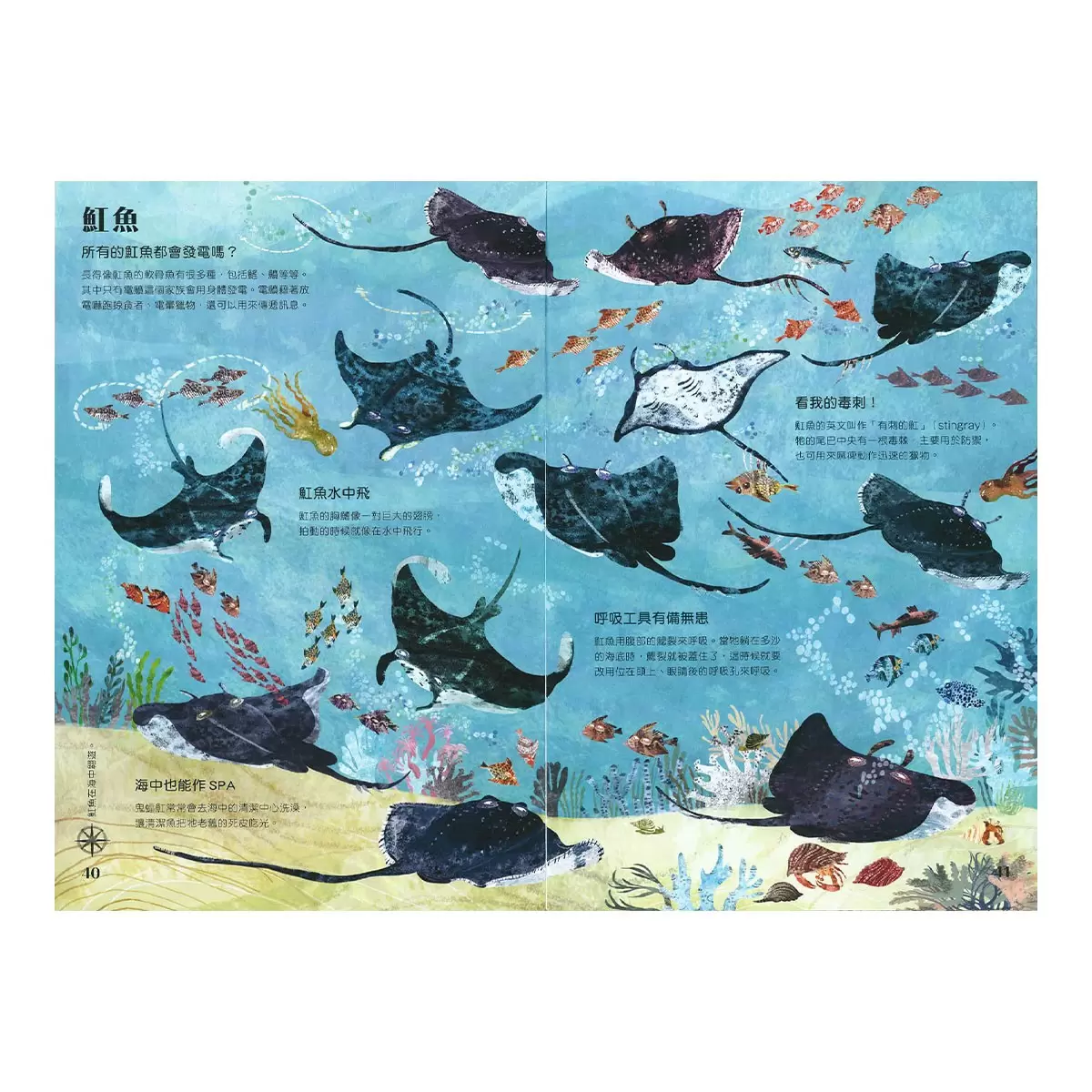 野獸大書 BEASTS(二版) +蟲蟲大書BUGS+海洋大書BLUE+野鳥大書BIRDS(四本合售)