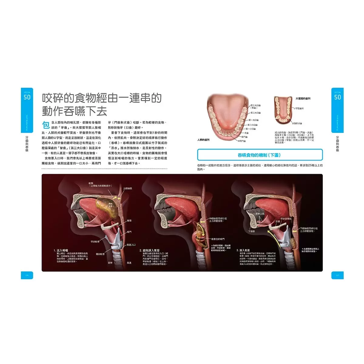 人體大圖鑑: 伽利略科學大圖鑑 5