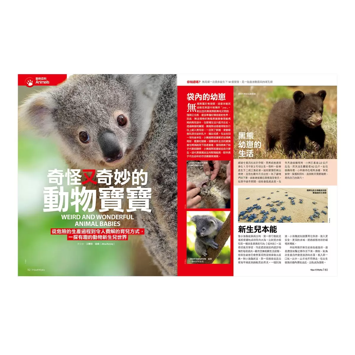 How It Works知識大圖解 國際中文版年度特刊：人體的奧祕 + How It Works知識大圖解 奇妙大自然大圖解(全新增修版)【純書版】2書合售