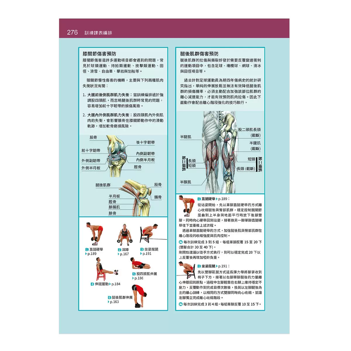 基礎肌力訓練解剖聖經基礎肌力訓練解剖聖經：居家阻力訓練超過 200 種動作與 50 套課表 (附訓練動作肌群解剖圖海報)