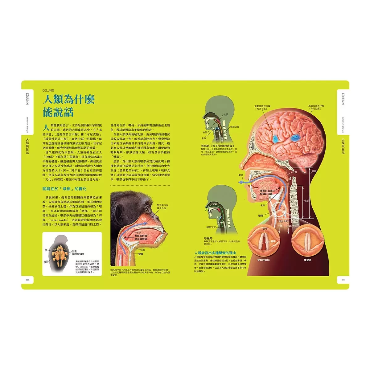 人體大圖鑑: 伽利略科學大圖鑑 5