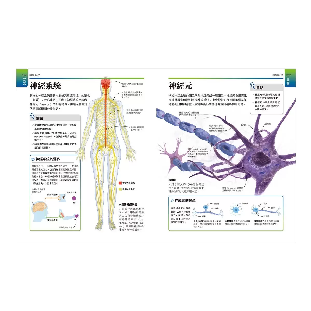 超簡單生物課:自然科超高效學習指南