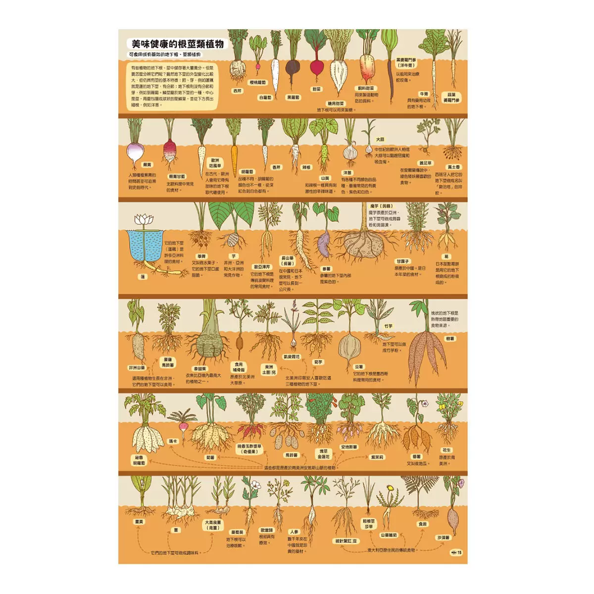 地圖 + 出發吧!環遊世界國家公園 + 地下世界.水下世界 + 好想吃一口: 餐桌上的世界地圖 (四冊合售)