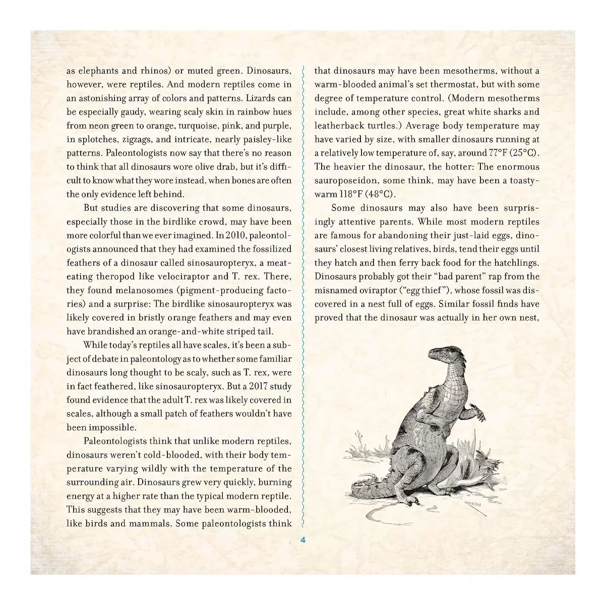 A Photicular Book 外文書 Dinosuar