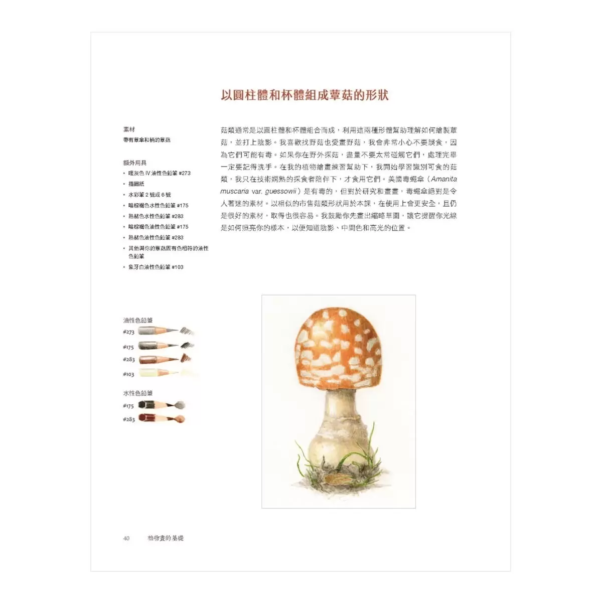 植物畫的基礎 : 美國植物畫女王一步一步教你畫葉子花朵果實及更多