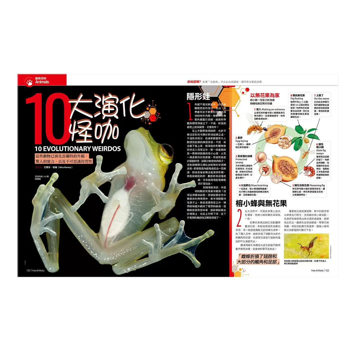 How It Works知識大圖解 國際中文版年度特刊：人體的奧祕 + How It Works知識大圖解 奇妙大自然大圖解(全新增修版)【純書版】2書合售