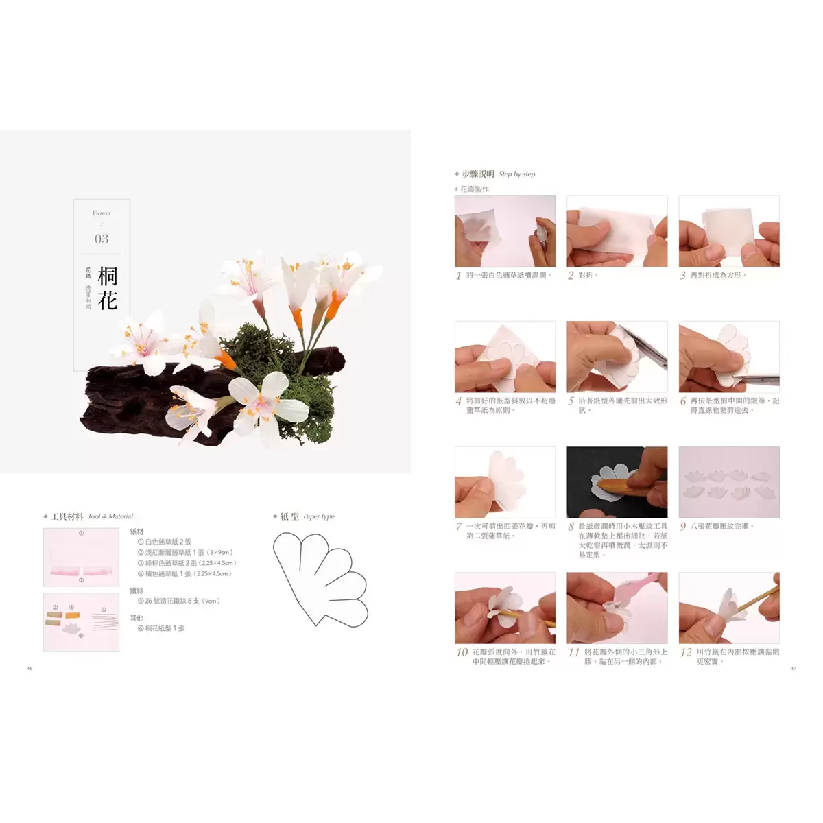 索拉花必備寶典 & 蓪草紙研究室套書 (2冊)