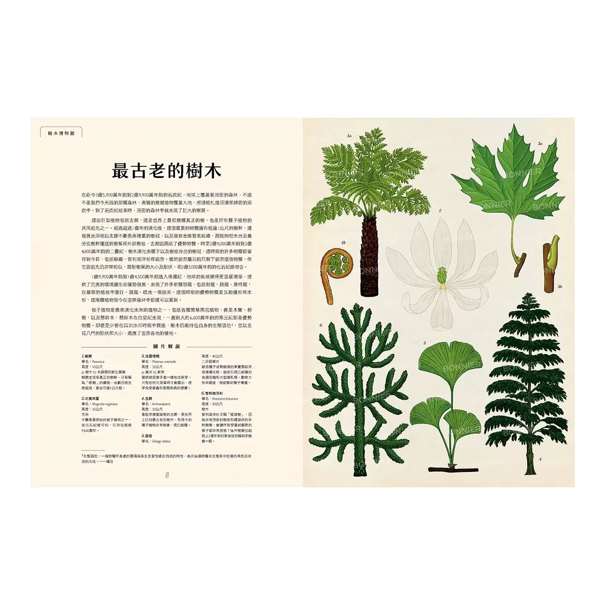 樹木博物館【台灣獨家封面版】
