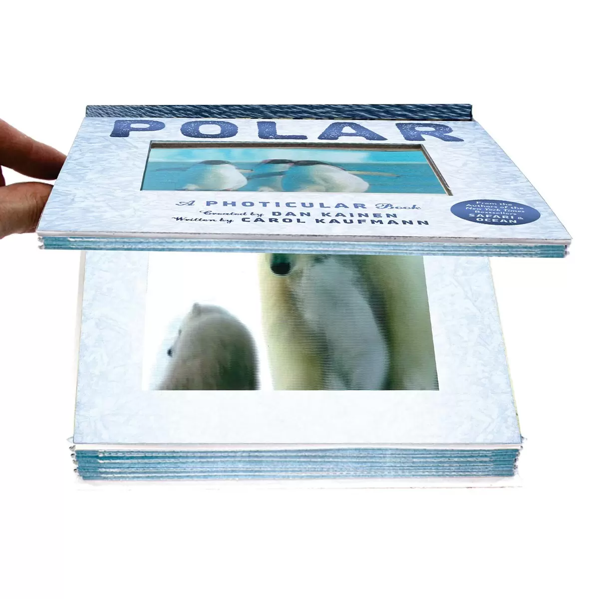 A Photicular Book 外文書 Polar