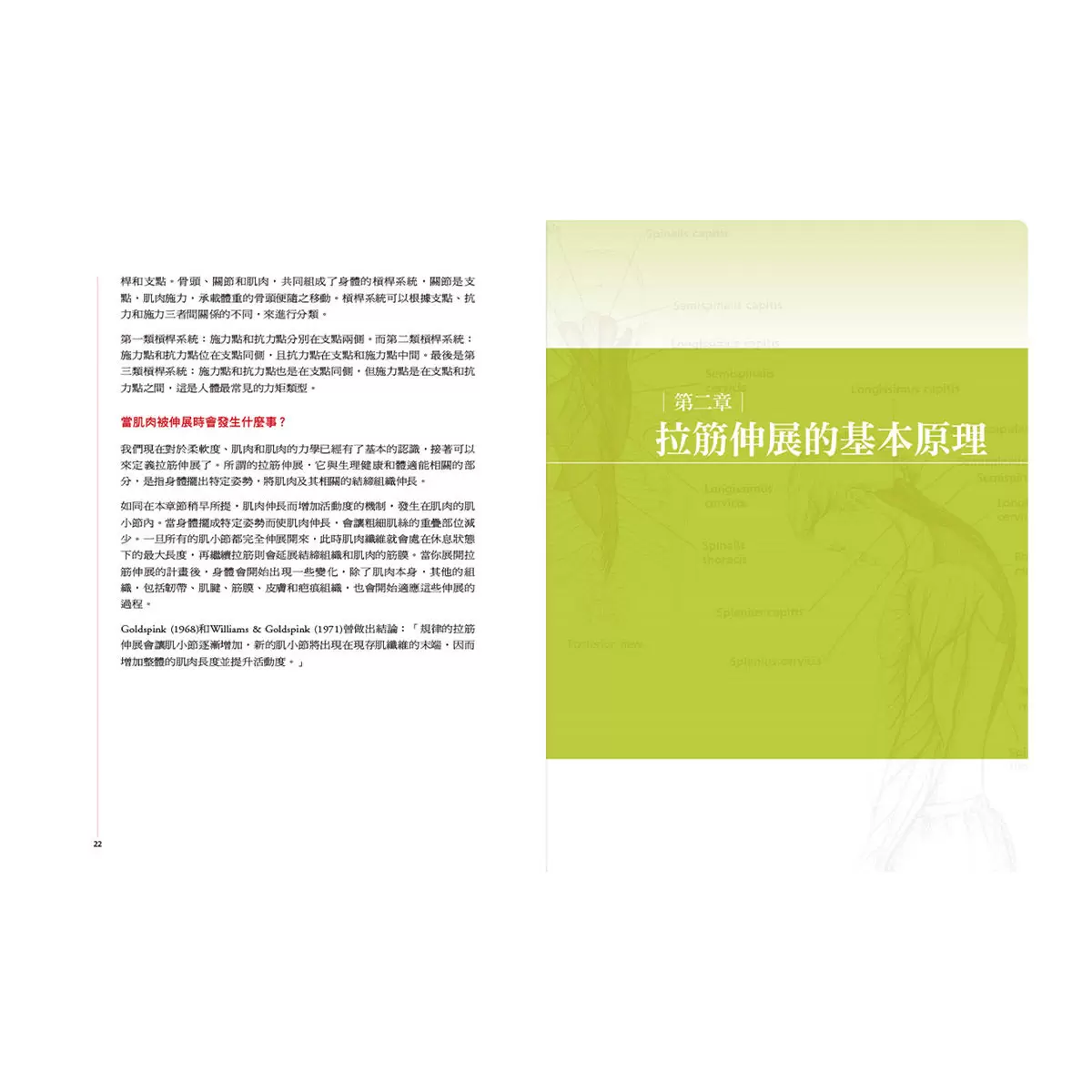 痠痛拉筋解剖書（升級增訂版套書）