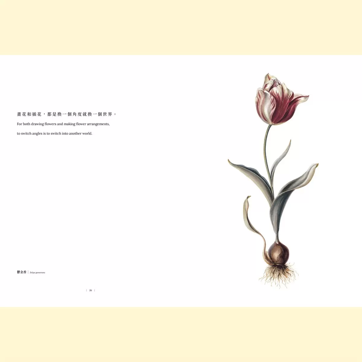 黃湘玲系列套書 植物情人＋蘭花絮語