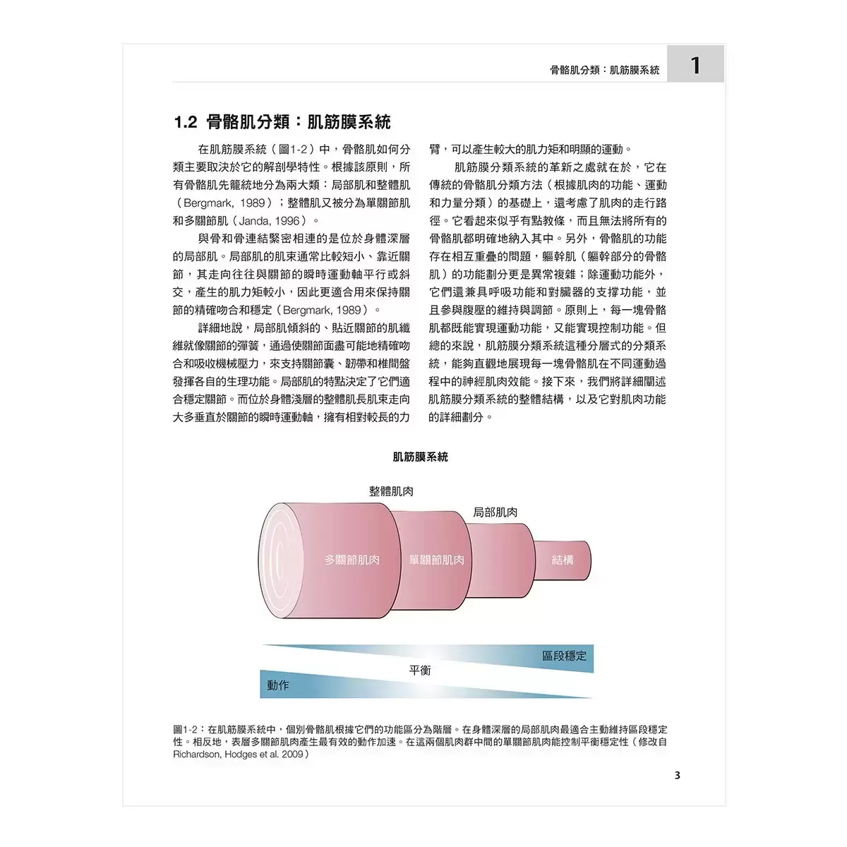 肌肉解剖、功能與測試全書：改訂7版，翻譯為15國語言，全球暢銷逾18年的字典級肌肉工具書