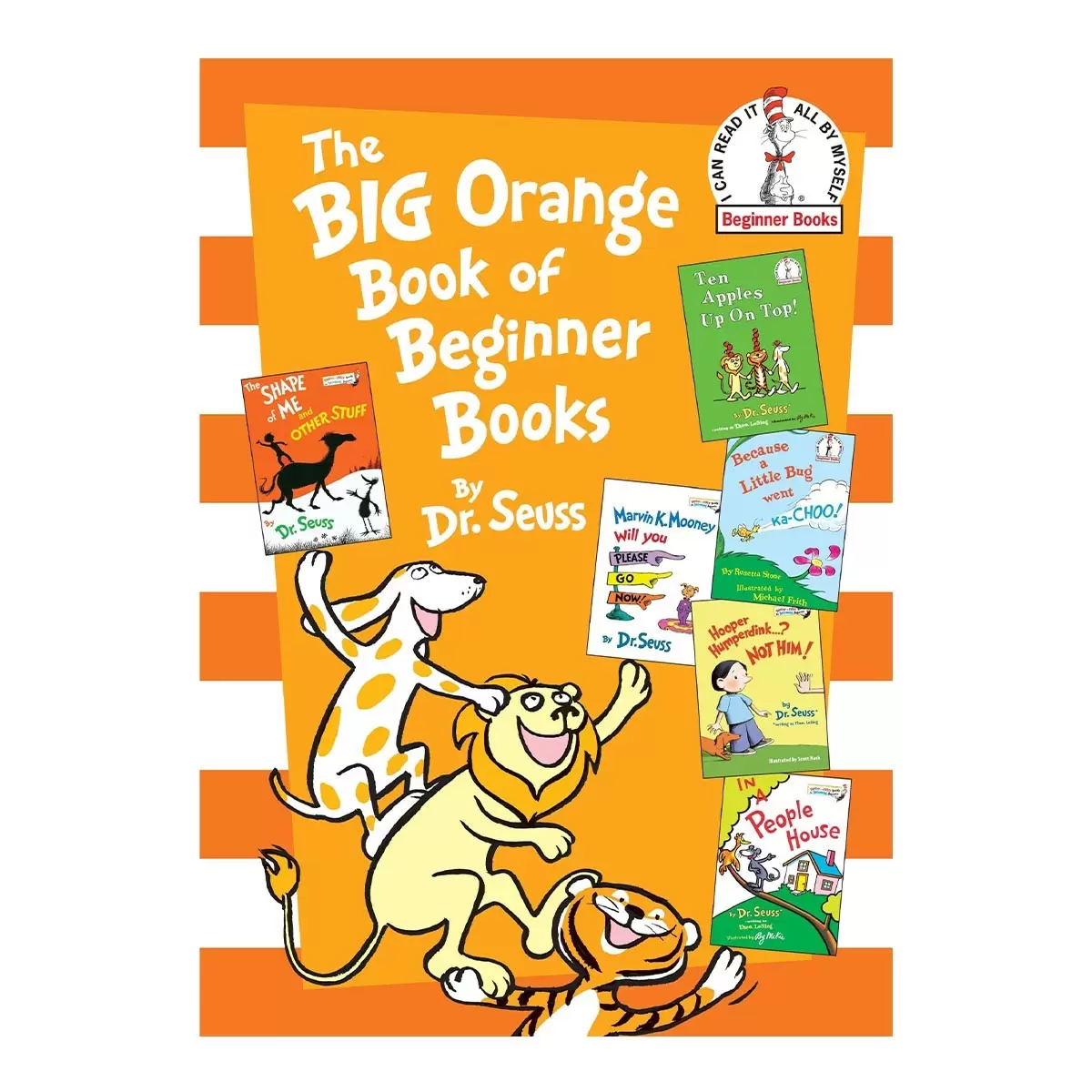 Dr. Seuss 繪本故事書 外文書 Big Orange