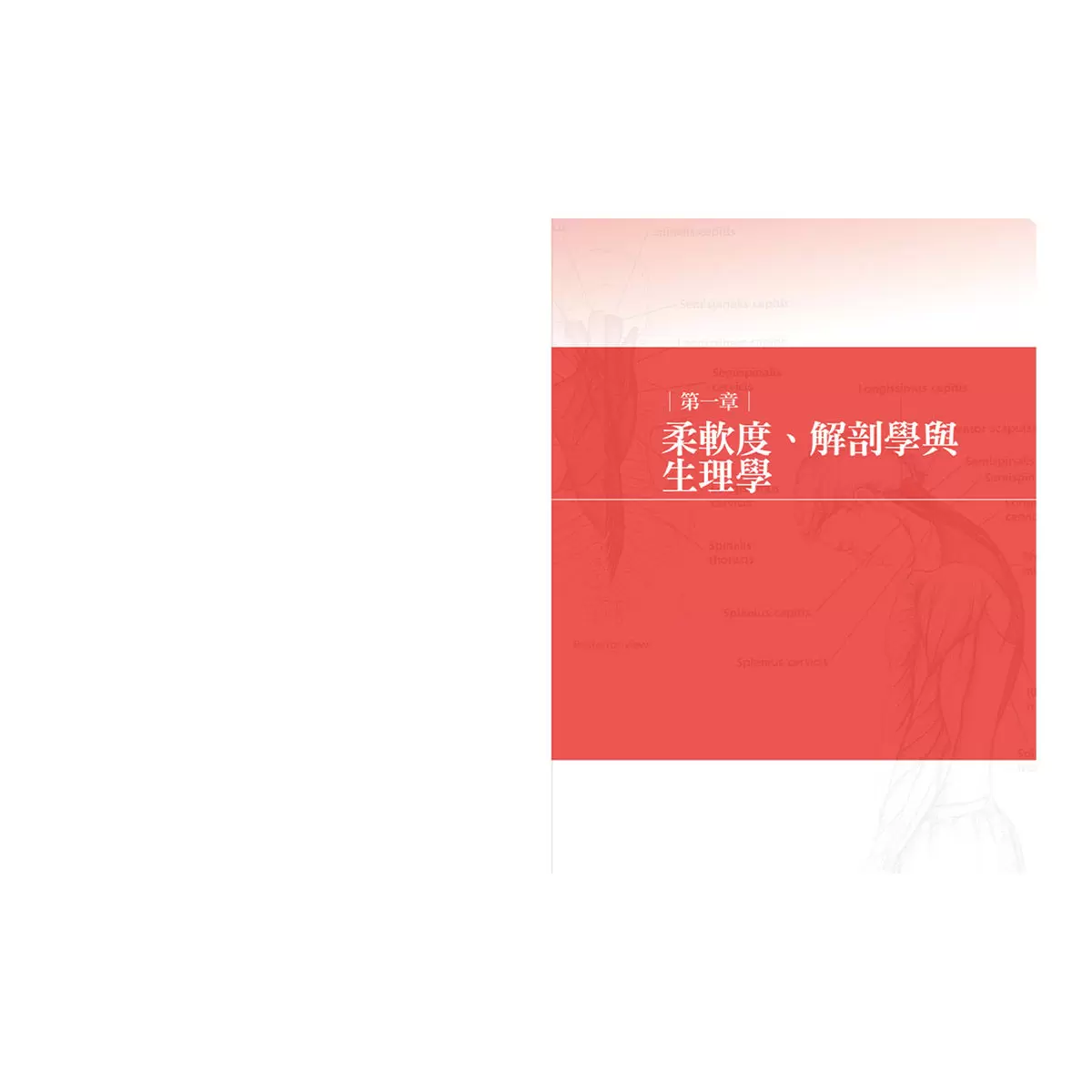 痠痛拉筋解剖書（升級增訂版套書）