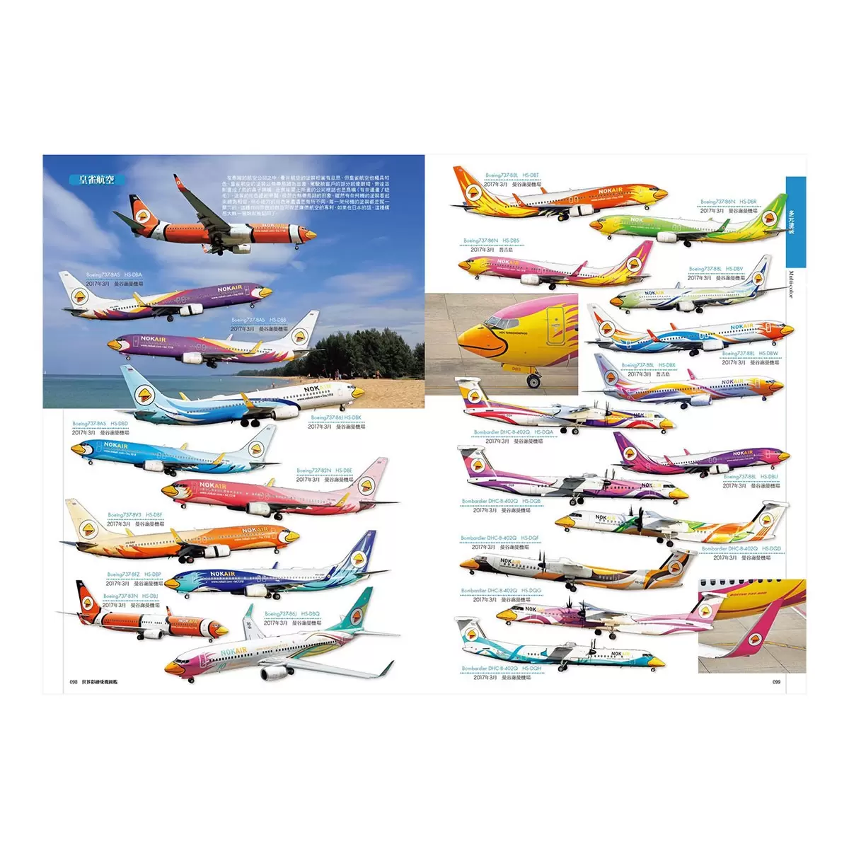 世界彩繪飛機圖鑑：收錄730種特色主題塗裝！世界飛機系列