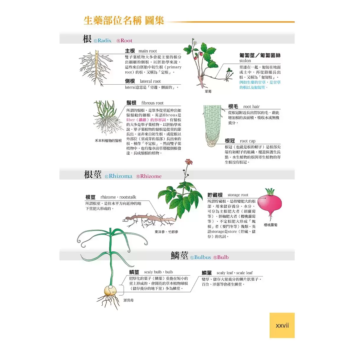 藥用植物大全