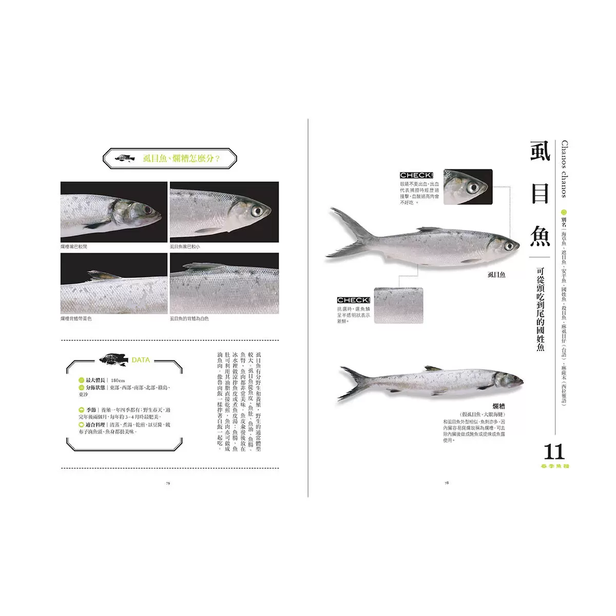 餐桌上的魚百科：跟著魚汛吃好魚，從挑選、保存、處理、熟成到料理的全食材事典（典藏增訂版）