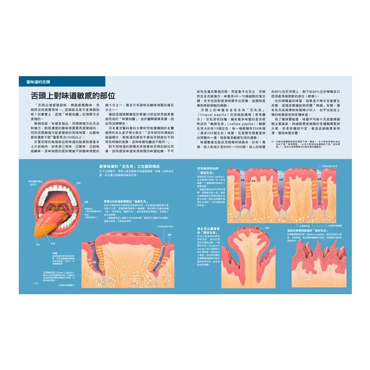 身體的科學知識+身體的檢查數值+飲食與營養科學百科+死亡是什麼 (四冊合售)