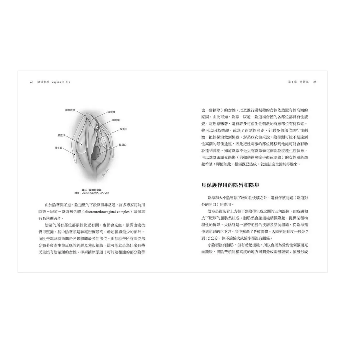 陰道聖經