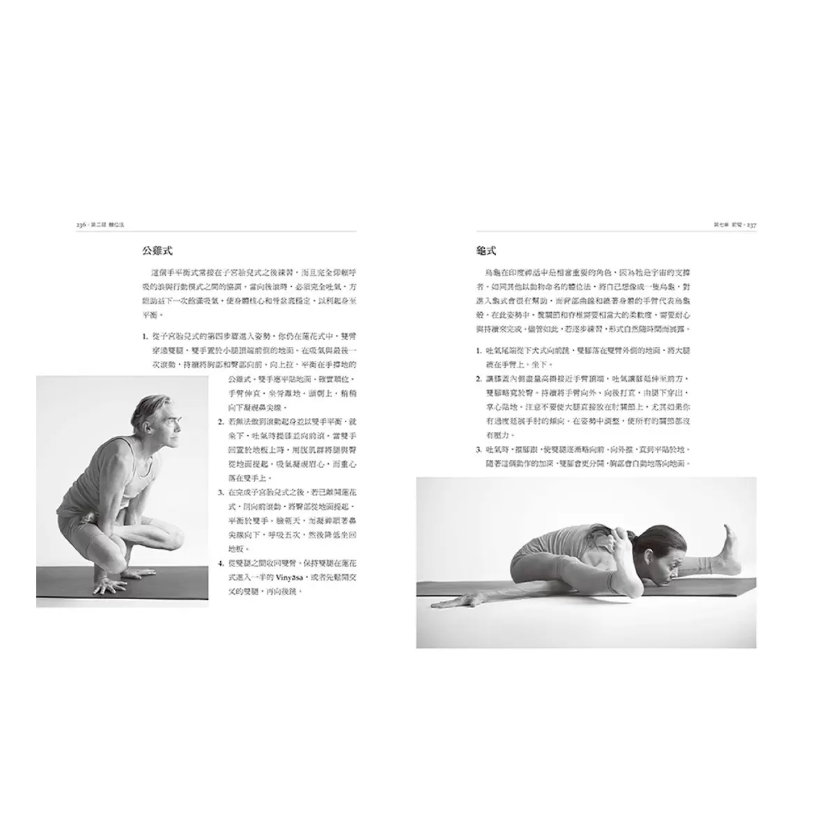 瑜伽與動禪: Vinyasa的流動藝術
