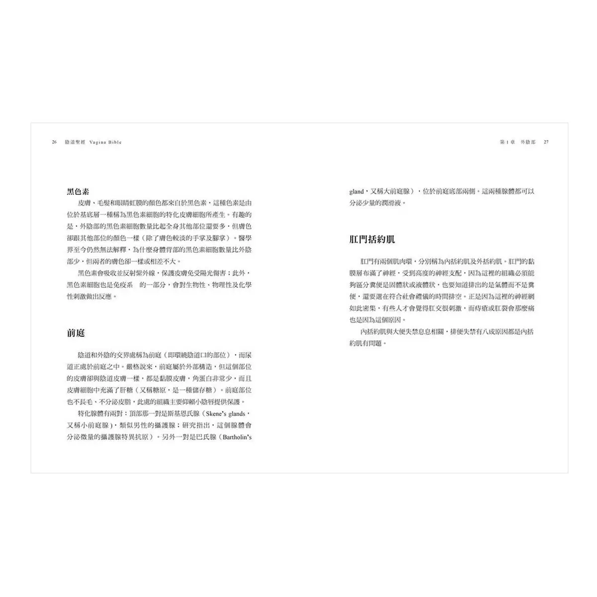 陰道聖經