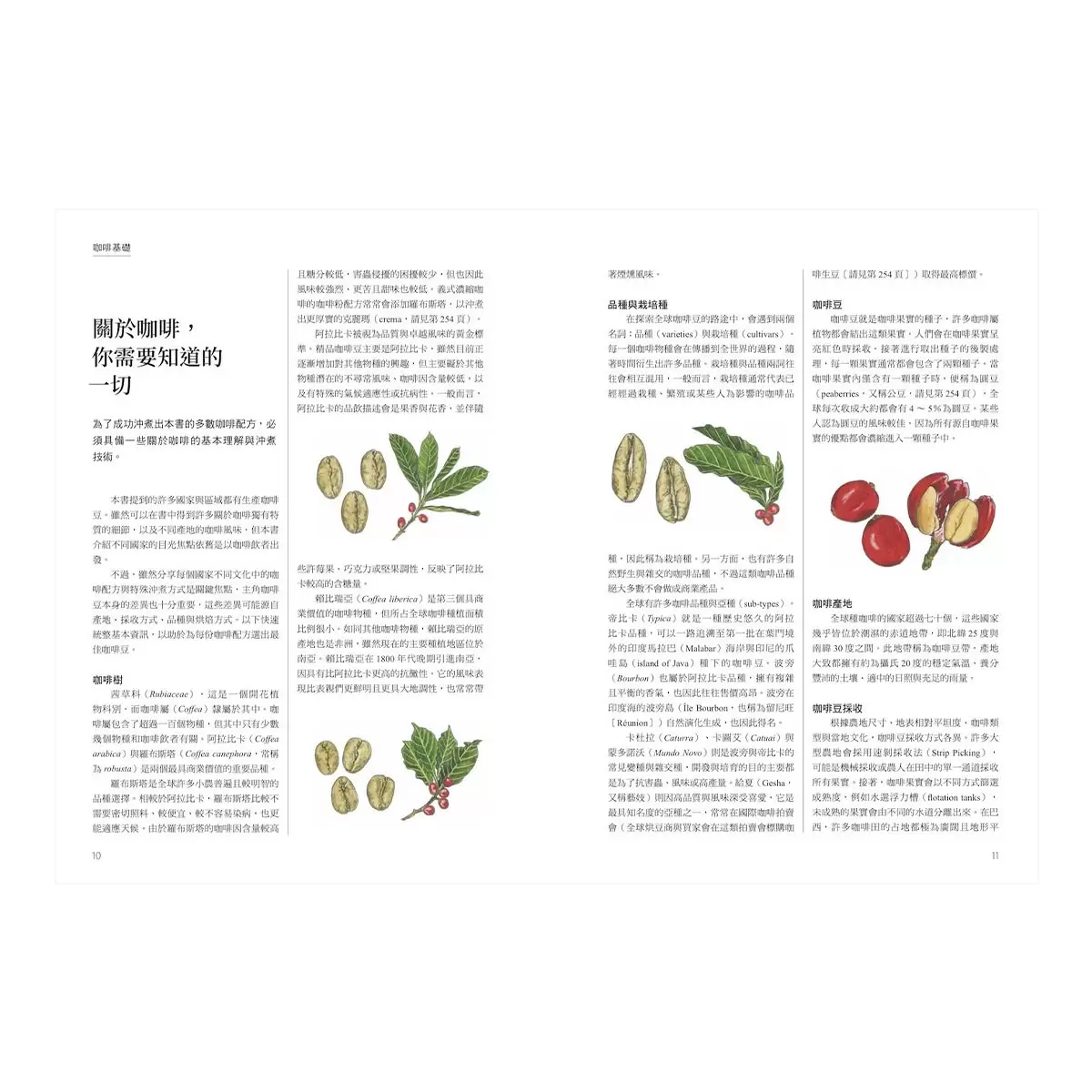 尋味‧世界咖啡──跟著咖啡豆的流轉傳播，認識在地沖煮配方與品飲日常，探索全球咖啡文化風景