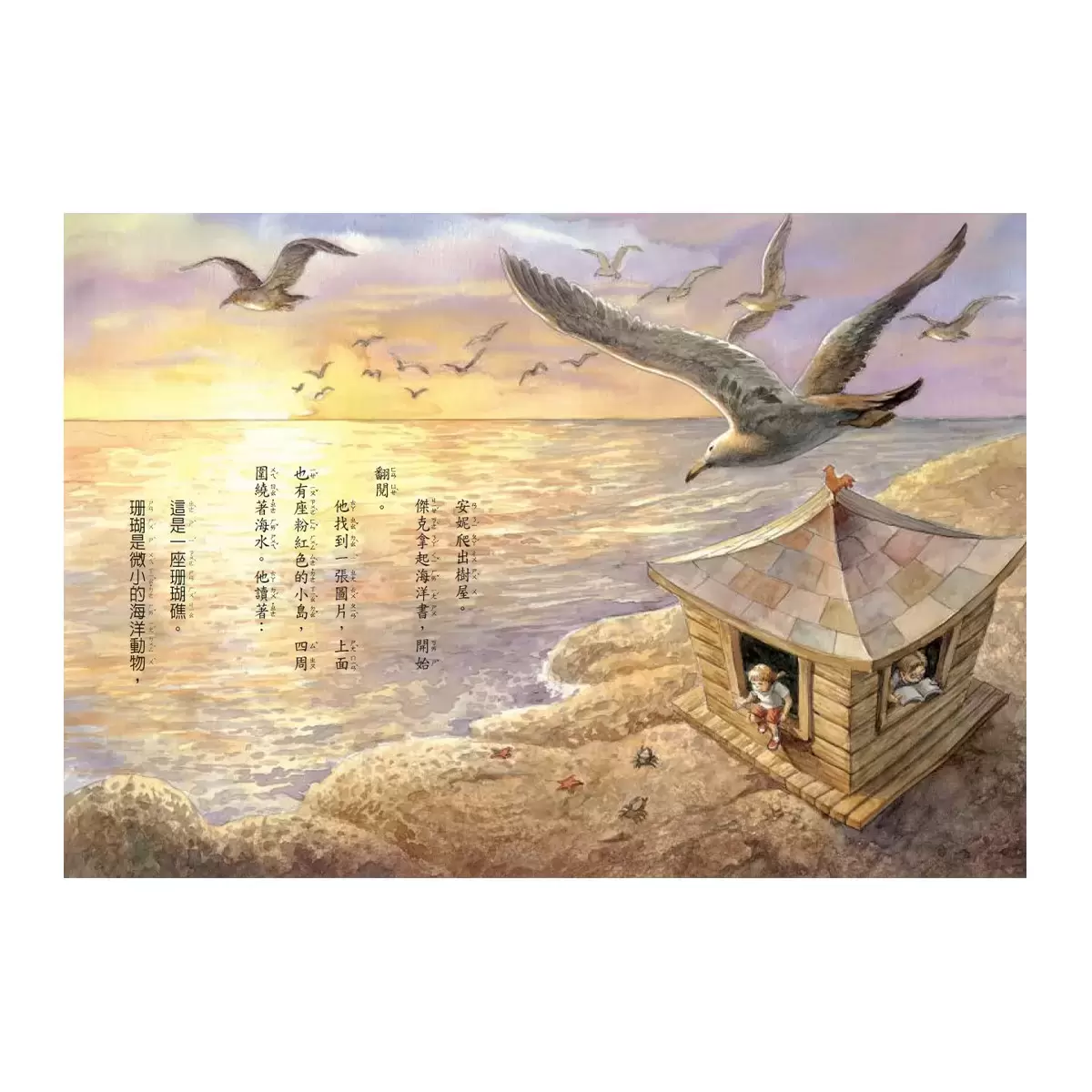 神奇樹屋中英雙語套書2 (9-16集)