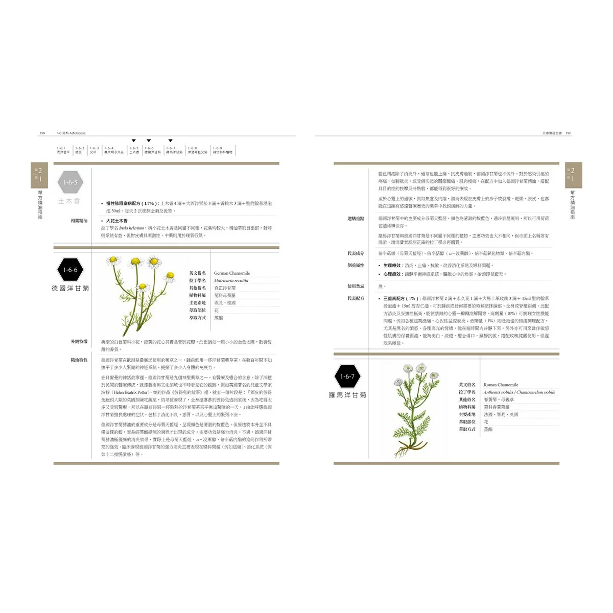 芳療實證全書：從分子到精油、從科學到身心靈，成為專業芳療師的必備聖經【暢銷10週年紀念版】 - 6