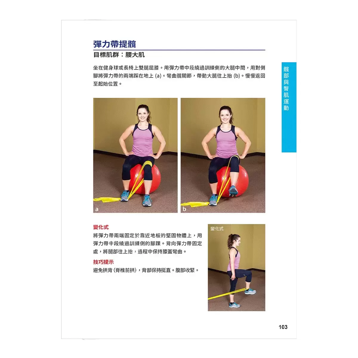 彈性阻力帶肌力訓練大全 (162式最新版)