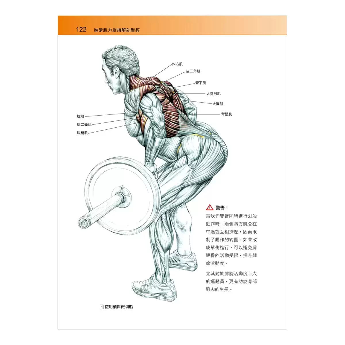 進階肌力訓練解剖聖經 1+2
