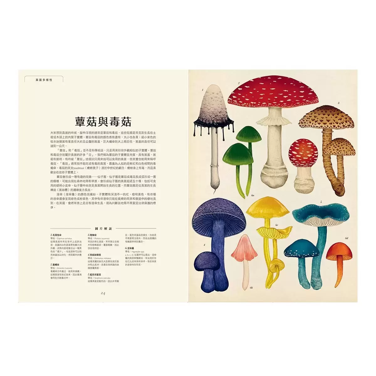 菌菇博物館【台灣獨家封面版】