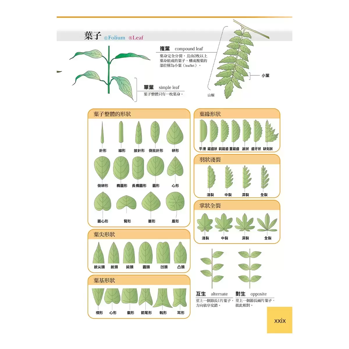 藥用植物大全
