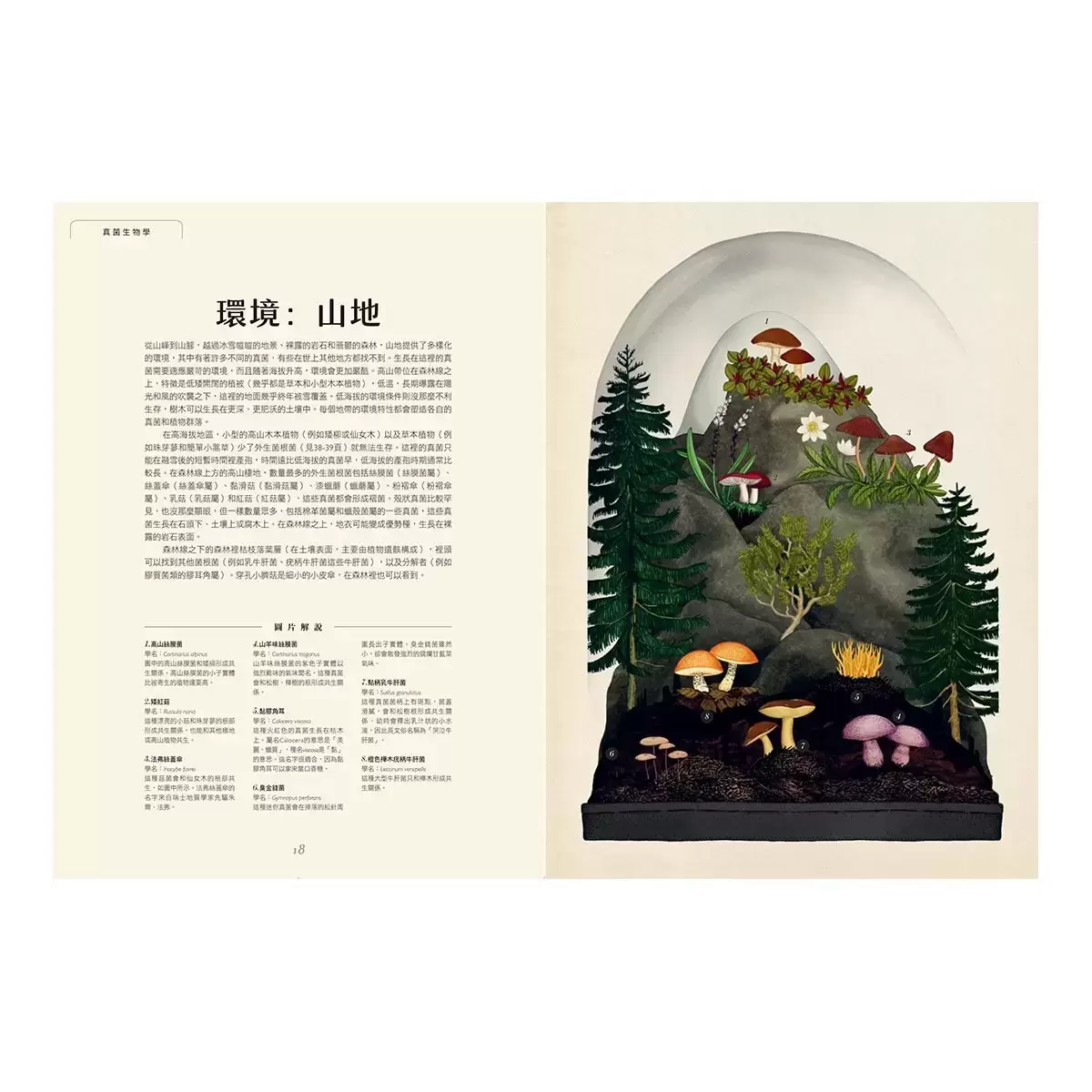菌菇博物館【台灣獨家封面版】