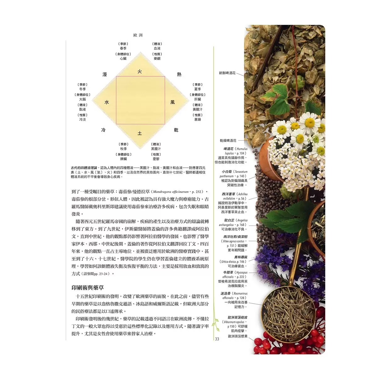 西洋藥草百科