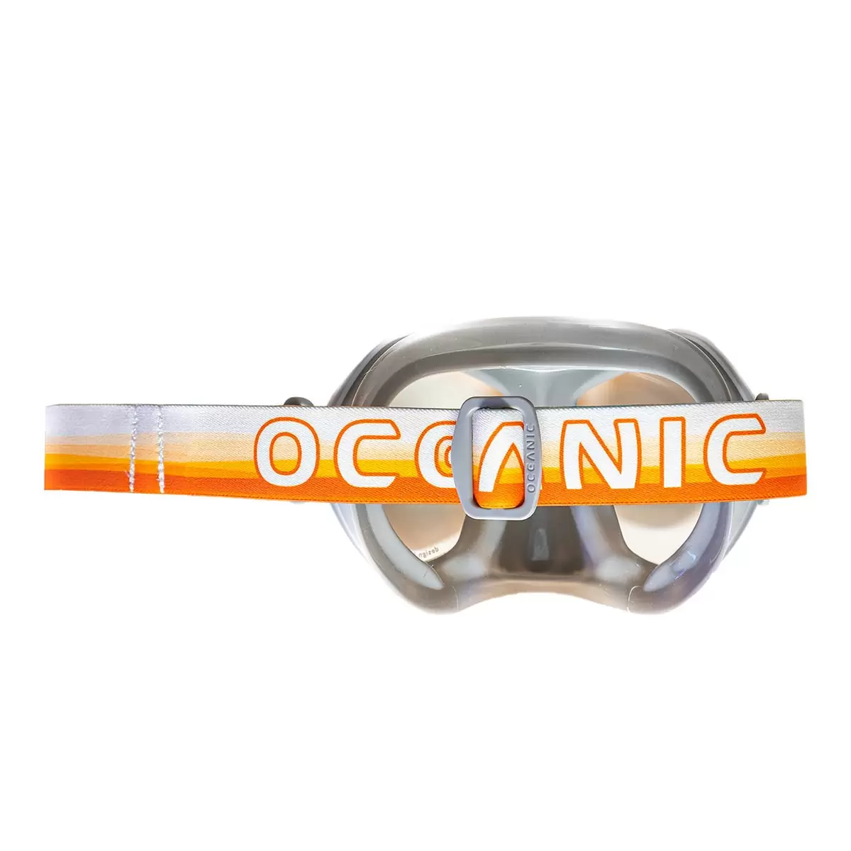 Oceanic 成人浮潛組