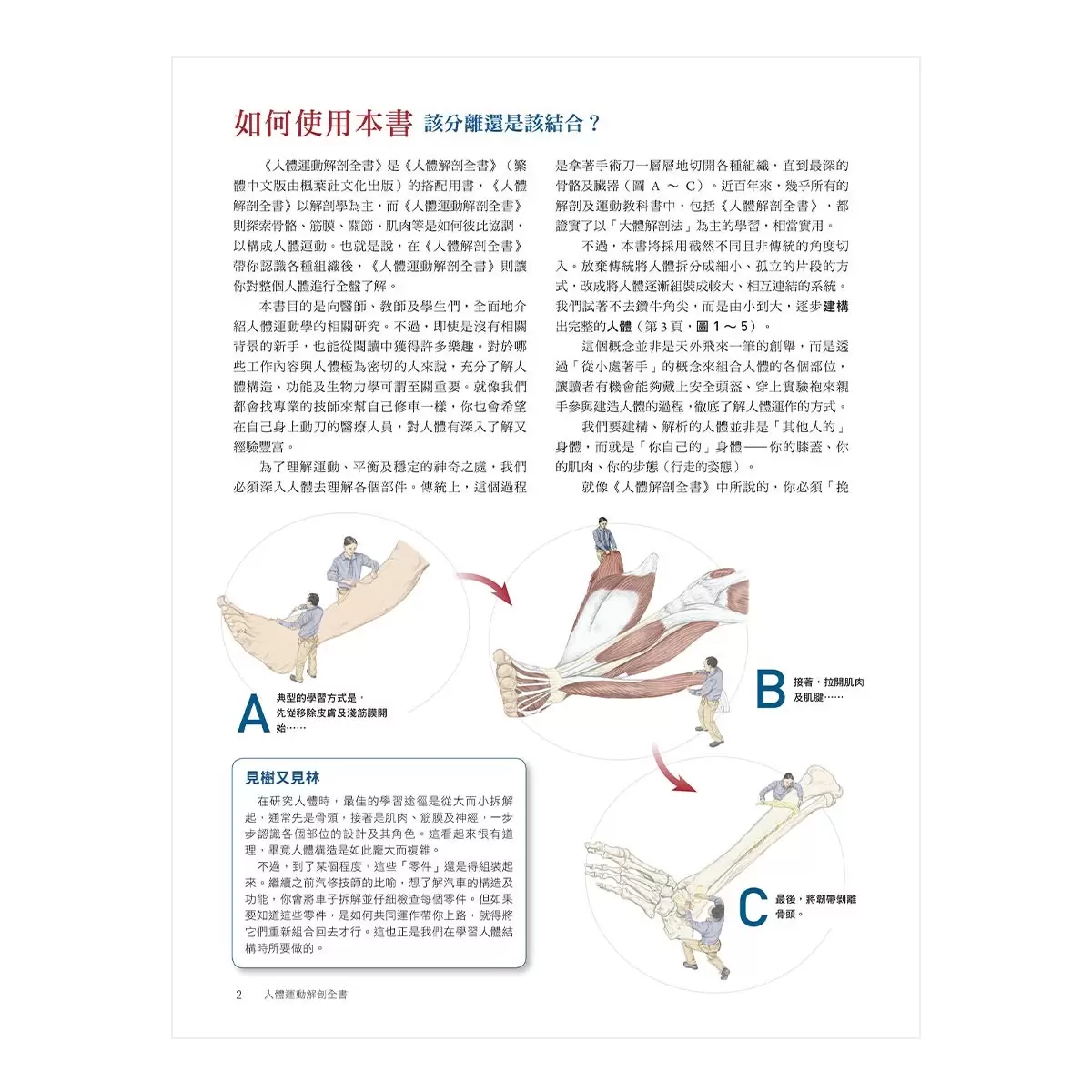 人體運動解剖全書 新修版