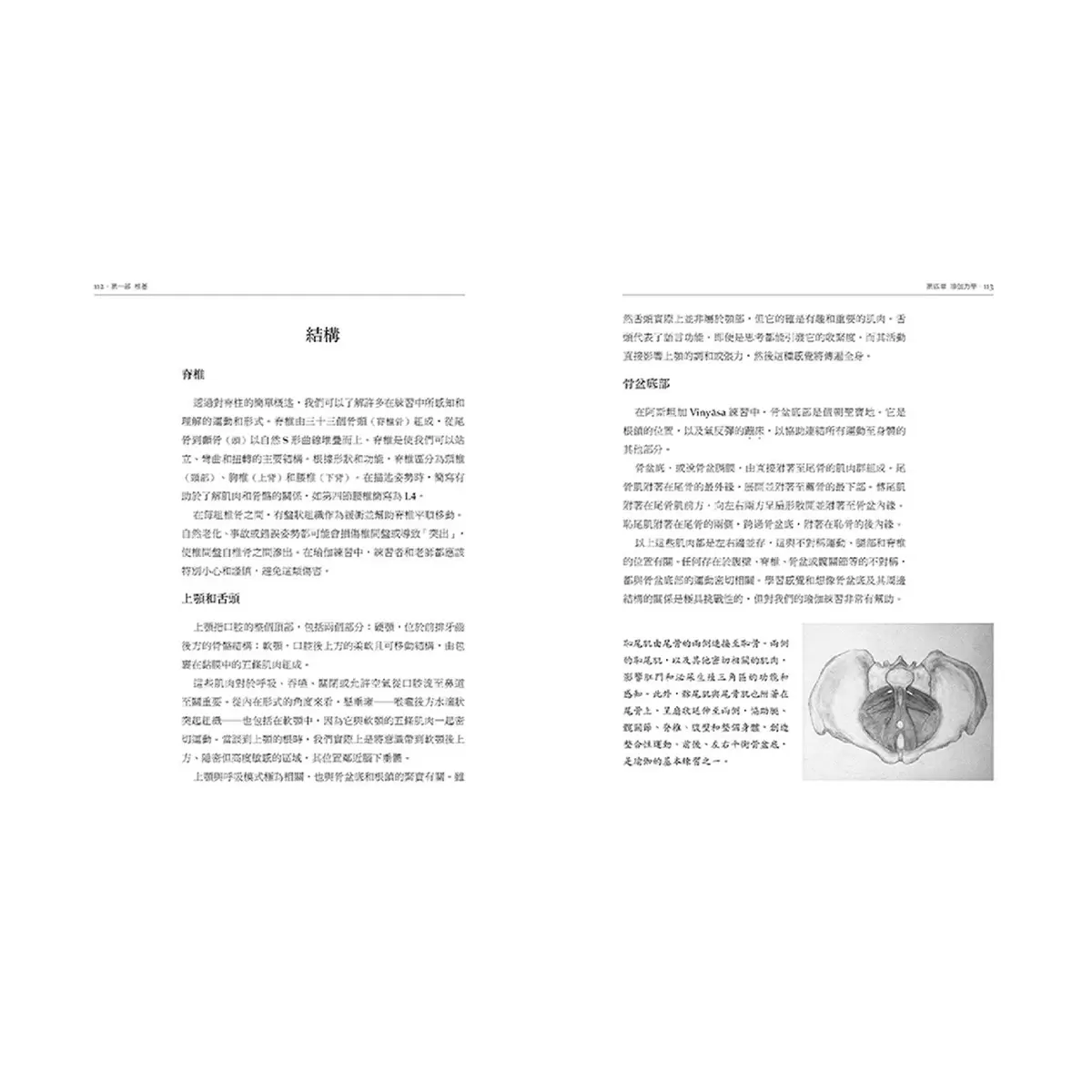 瑜伽與動禪: Vinyasa的流動藝術