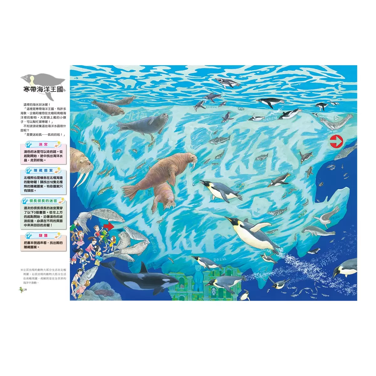 知識大迷宮:自然界大探索套書(共3冊):昆蟲迷宮+動物迷宮+水世界迷宮 - 6