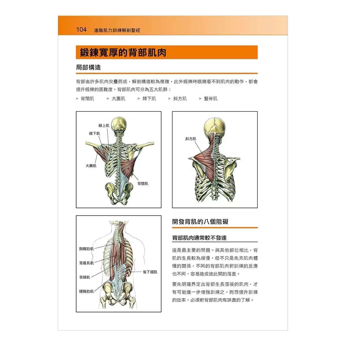 進階肌力訓練解剖聖經 1+2