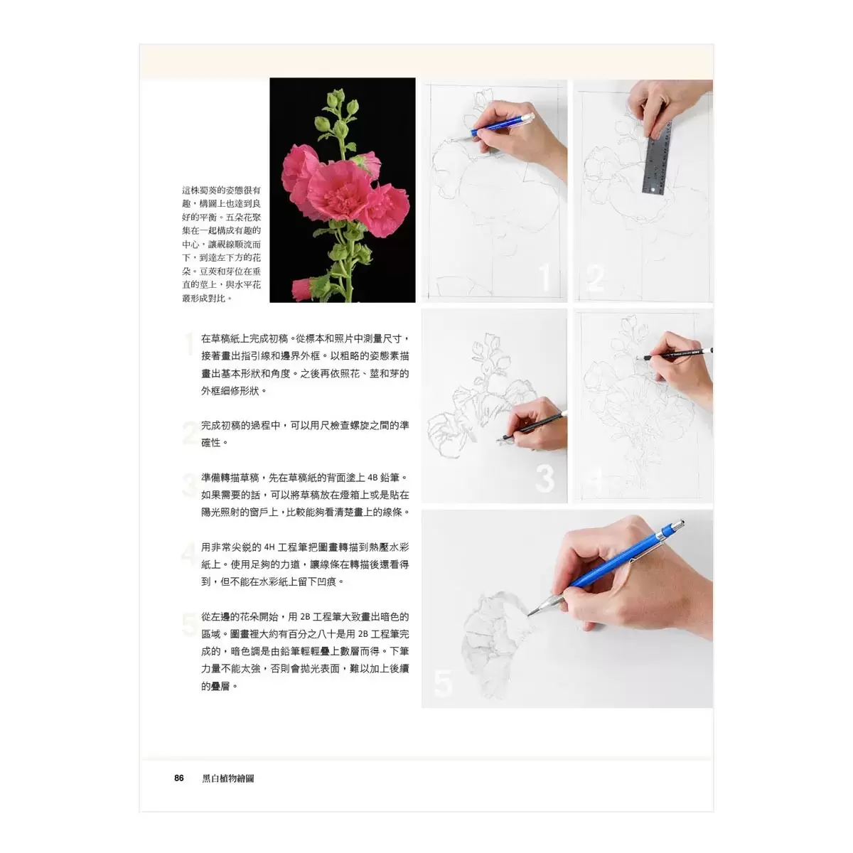植物藝術繪畫的50堂課—美國最具權威的ASBA協會頂尖畫師教你畫