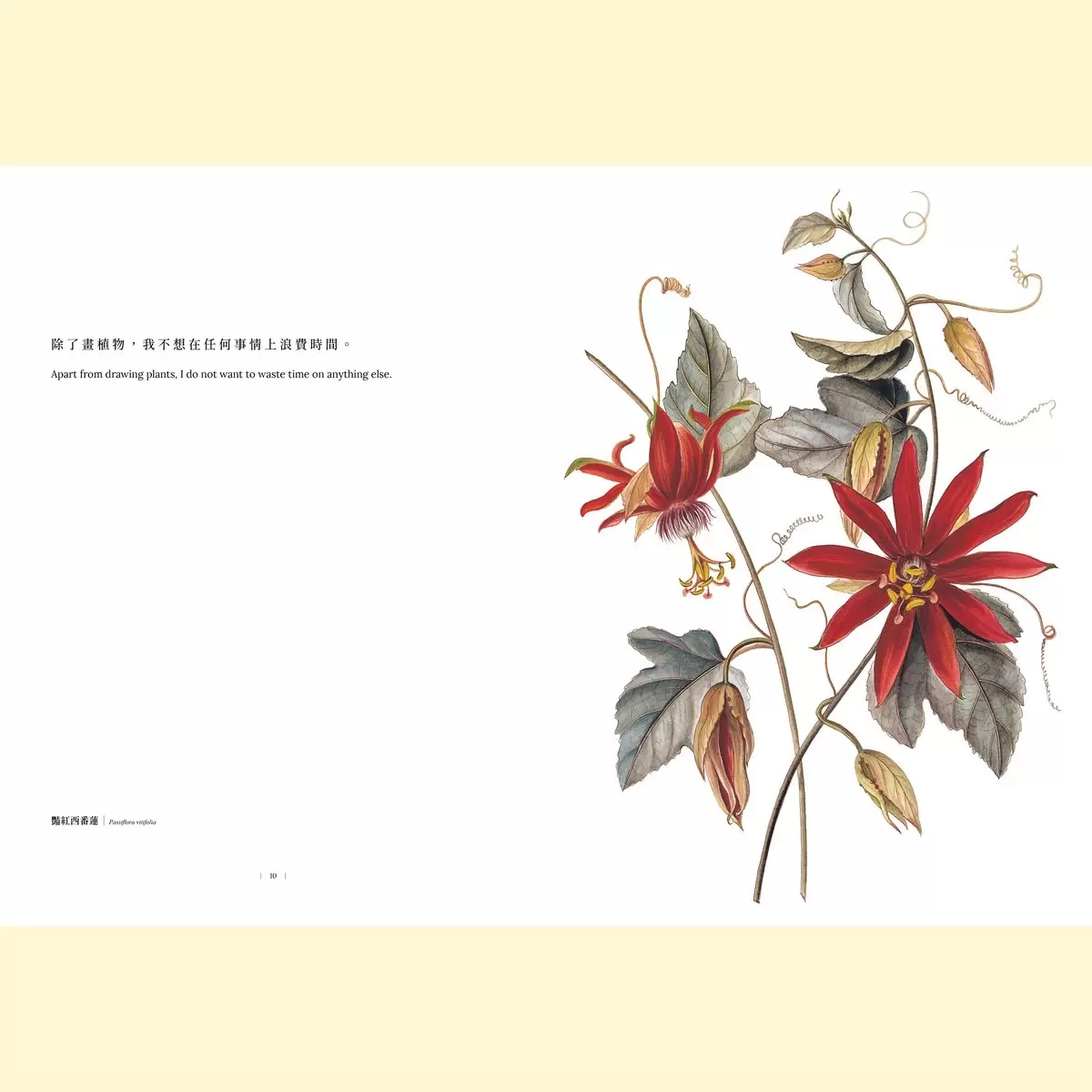 黃湘玲系列套書 植物情人＋蘭花絮語