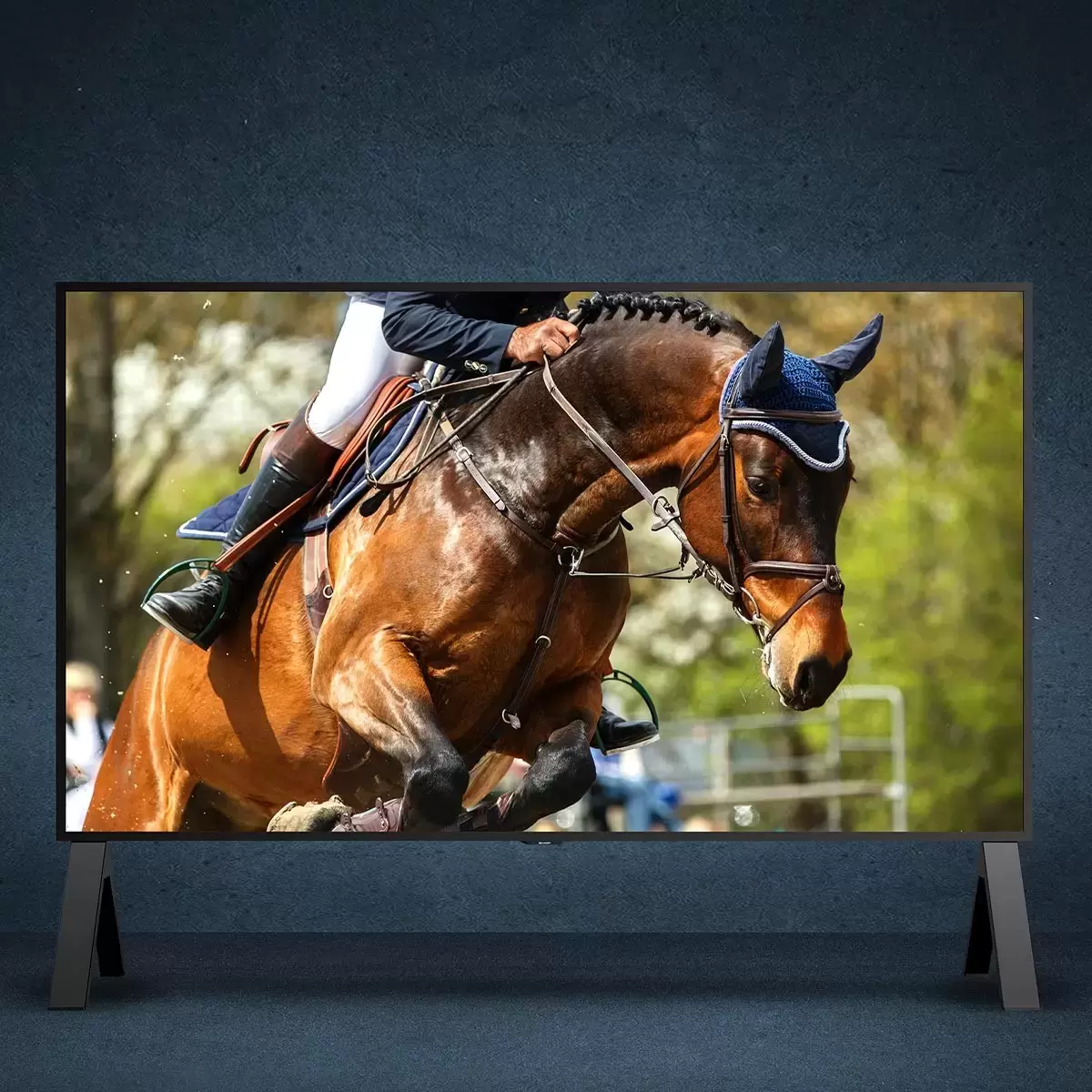 夏普 120吋 8K QLED 顯示器不含視訊盒 8M-B120C