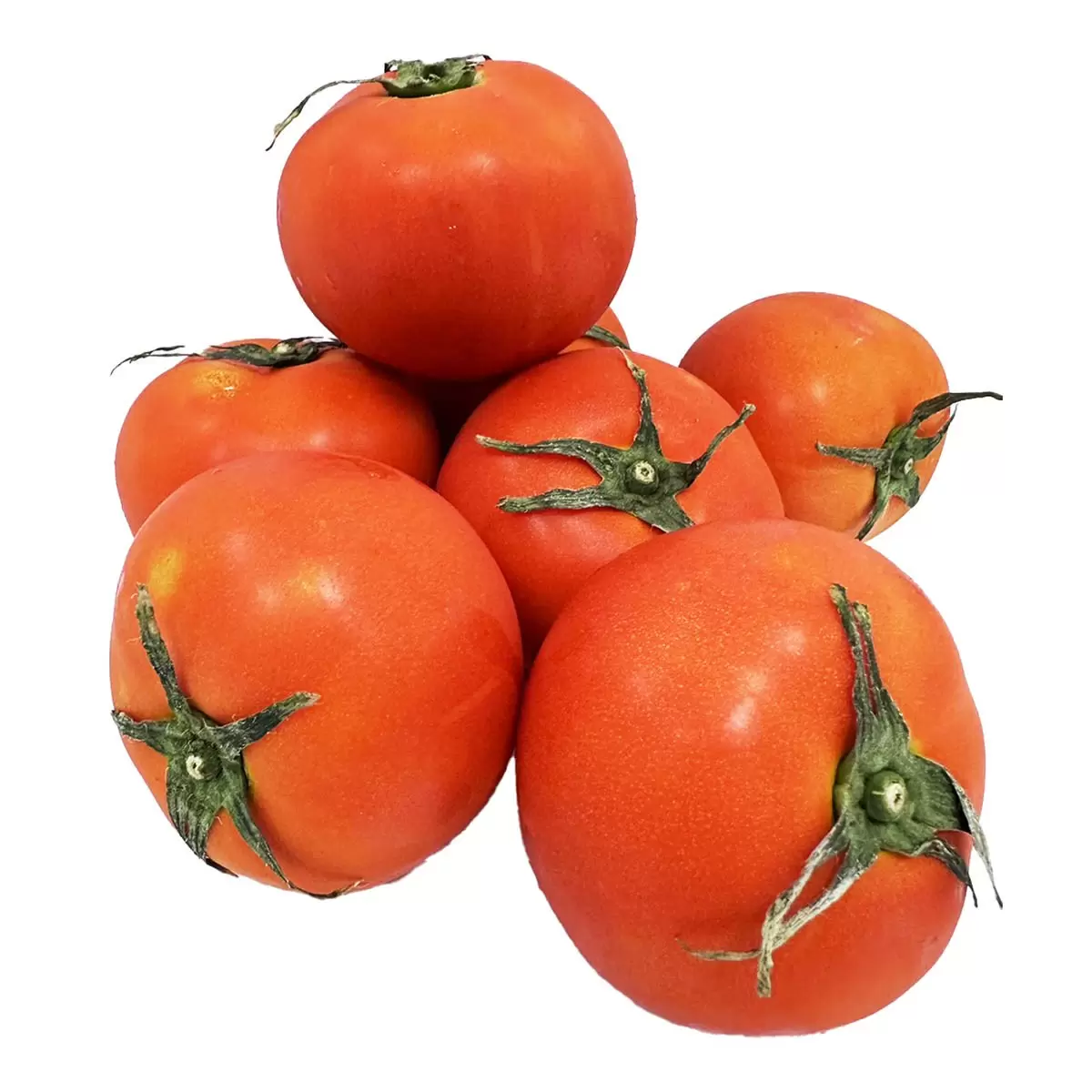 產銷履歷 牛番茄 1050公克 - 2