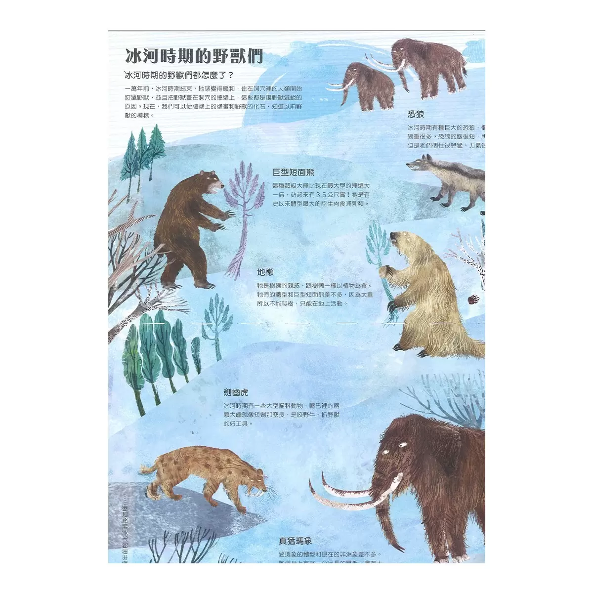 野獸大書 BEASTS(二版) +蟲蟲大書BUGS+海洋大書BLUE+野鳥大書BIRDS(四本合售)